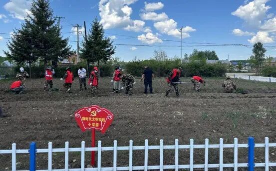孙吴县卧牛河乡小菜园种团结菜志愿服务心连心