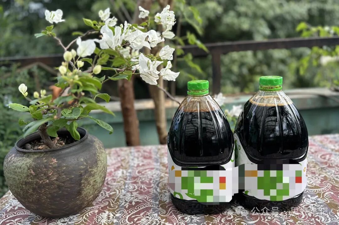 熟地黄多少钱一斤
