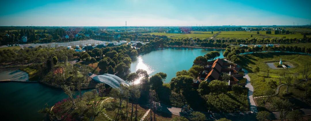 新时代新征程新伟业丨乘势一体化战略东风建设升级蝶变中的灵韵朱家角