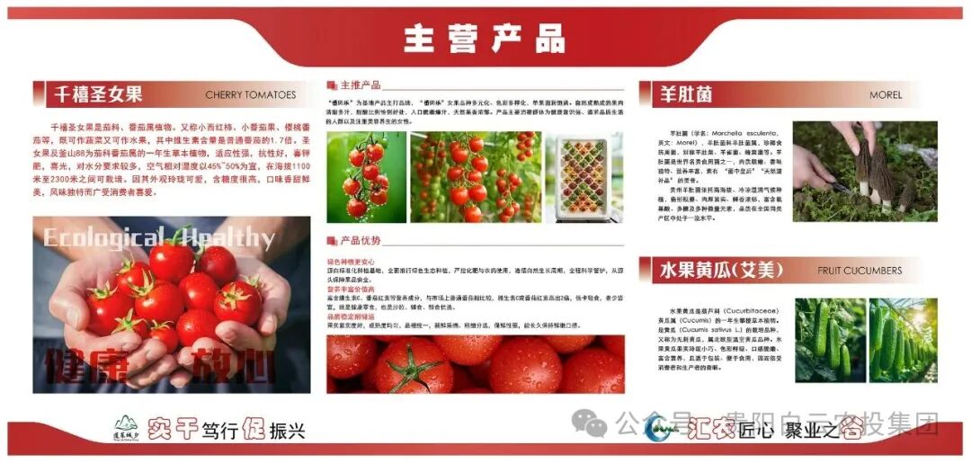 微信图片_20260409102545_2569_217.png