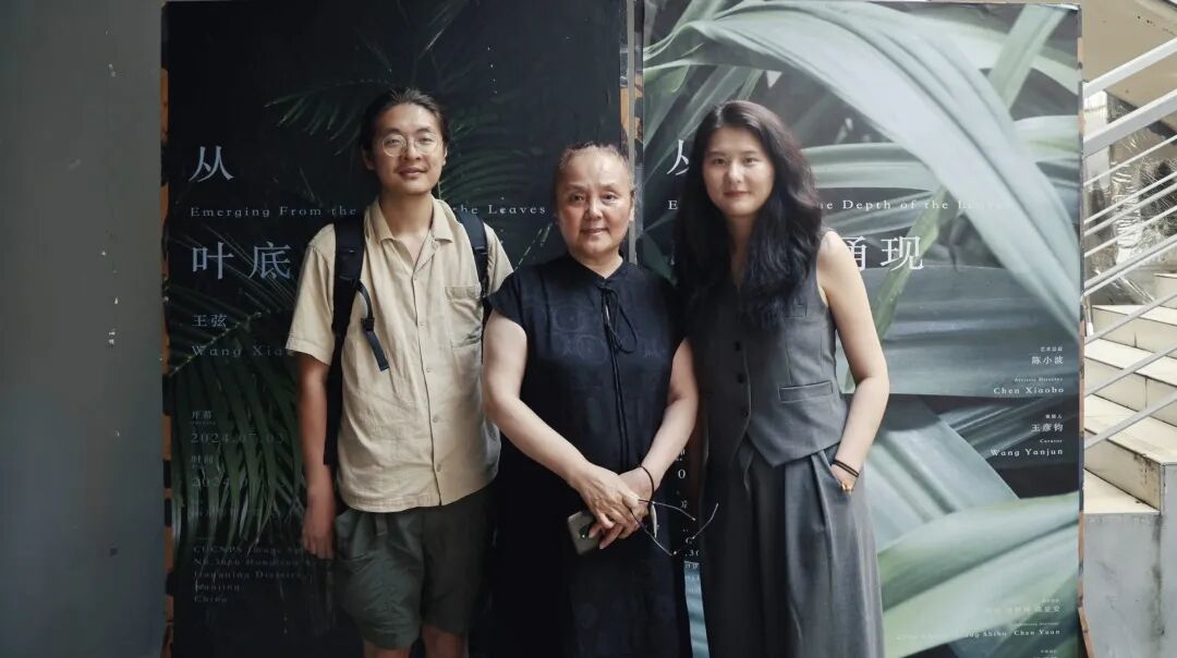 展览回顾｜从叶底涌现：是植物选择了我
