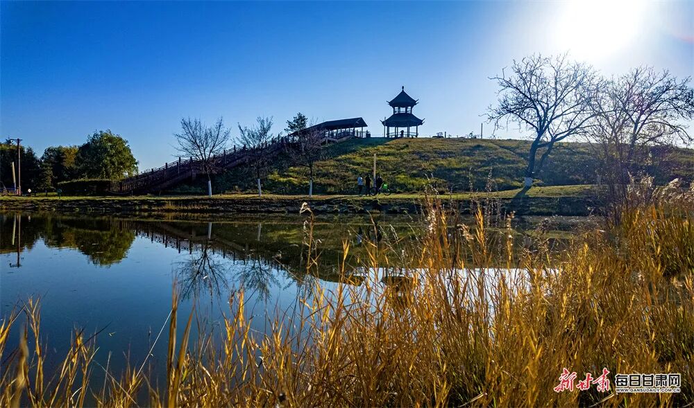 庆阳南湖公园冬日光影