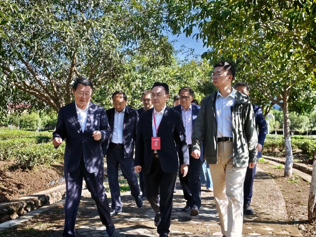 图片2 .jpg