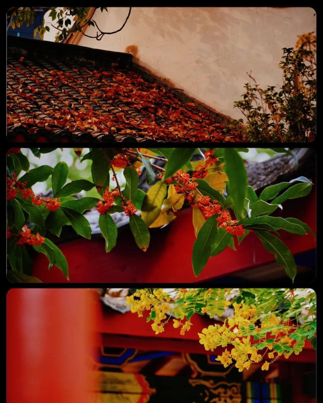 你闻到了吗？台江这些地方好香！