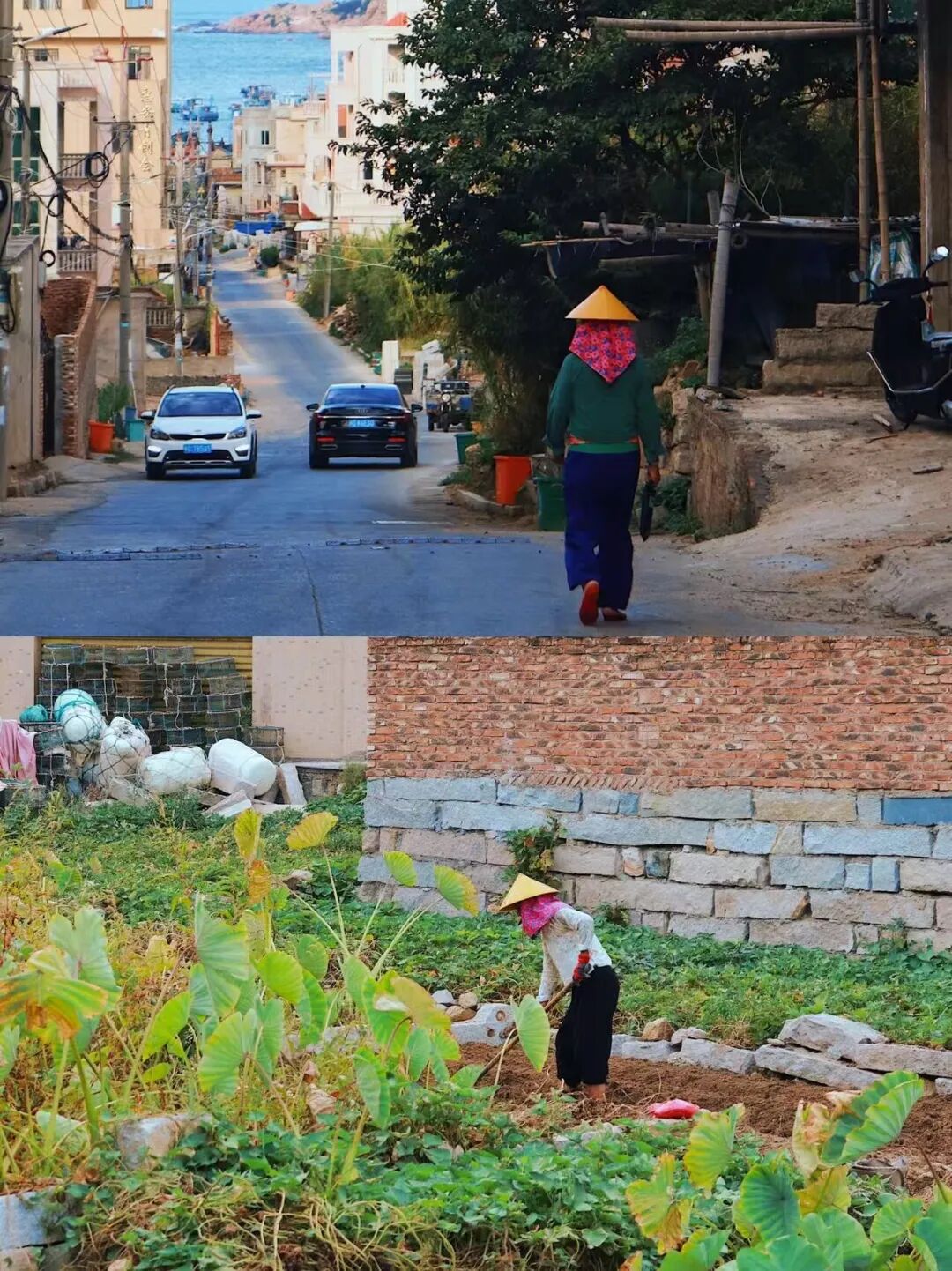 年味不输潮州，与台湾隔海相望的山海小城，遍地10块钱小吃，冬日还能追橘子海夕阳