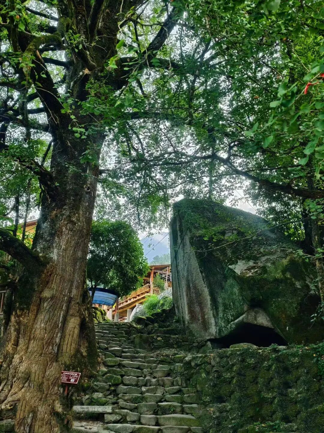 高铁直达，挖到了和昆明齐名的“春城”，4元一碗粉，泡汤江西一绝，安逸又便宜！