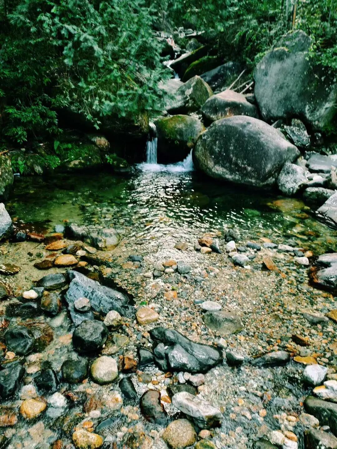 高铁直达，挖到了和昆明齐名的“春城”，4元一碗粉，泡汤江西一绝，安逸又便宜！