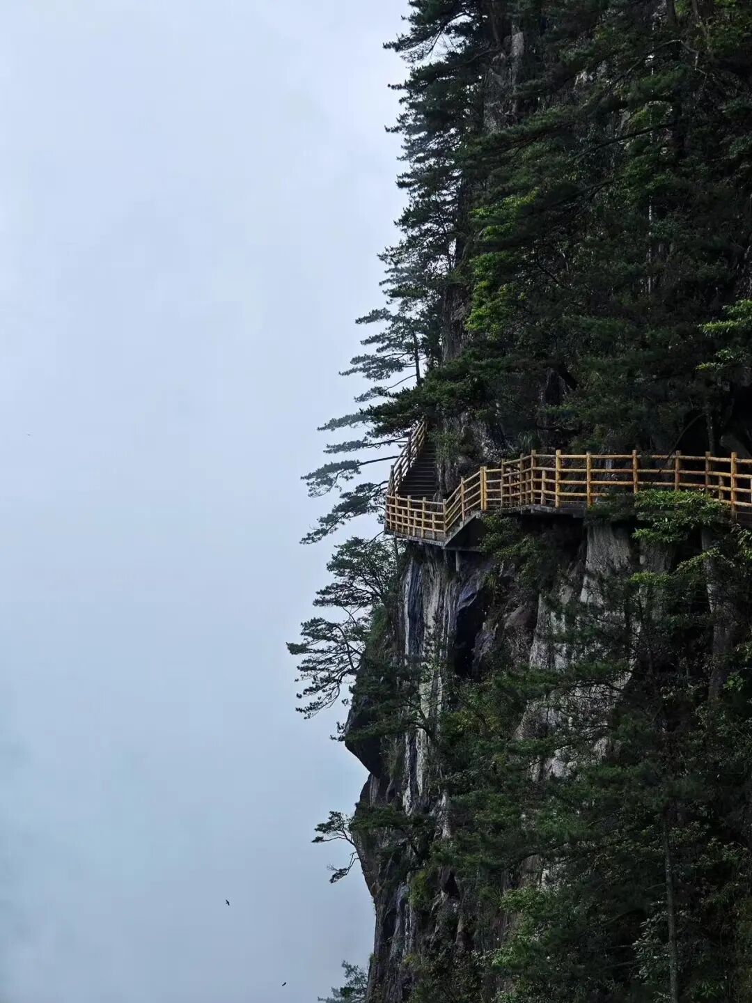 高铁直达，挖到了和昆明齐名的“春城”，4元一碗粉，泡汤江西一绝，安逸又便宜！