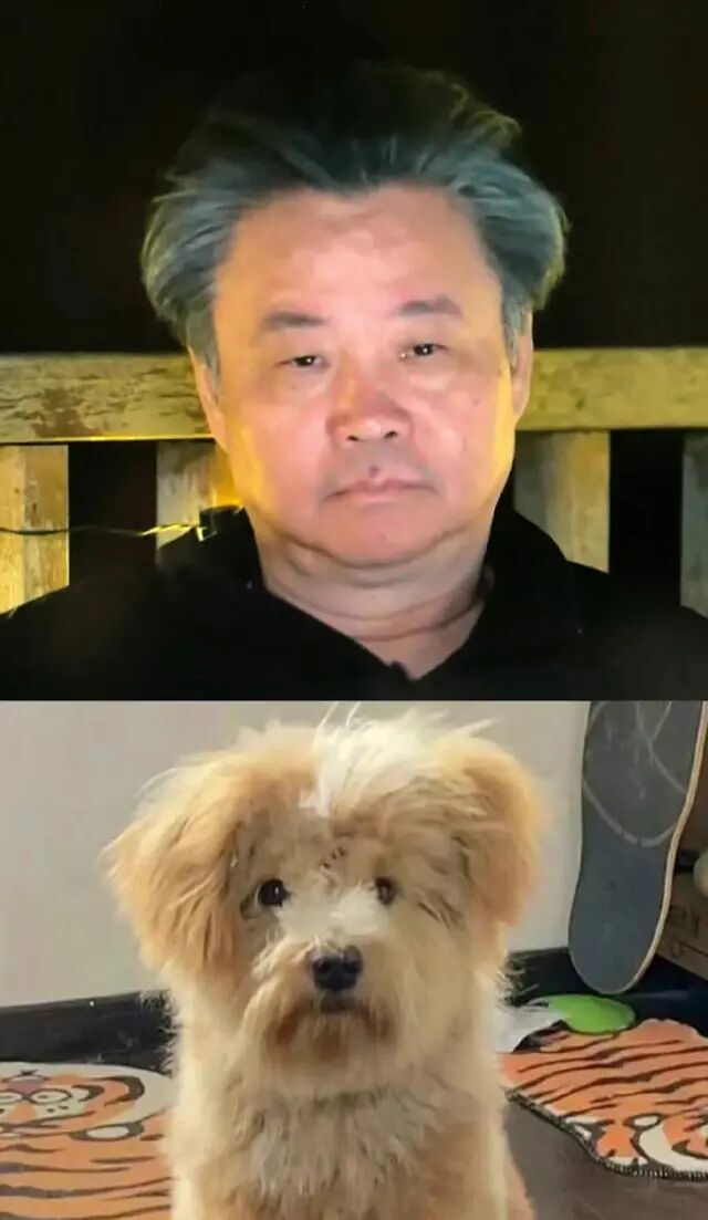 双语余华回应潦草小狗网图不是发型的问题是长相