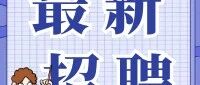 高层次人才网26招聘