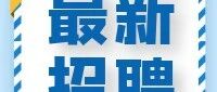 郑州城市职业学院丨招聘公告