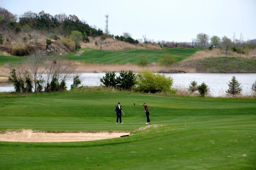 一个非常典型的海滨丘陵球场