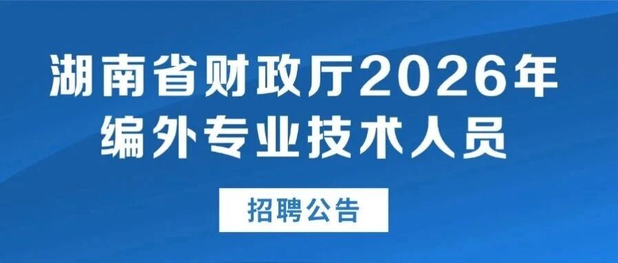 公告|湖南省财政厅|2026年编外专业技术人员招聘公告