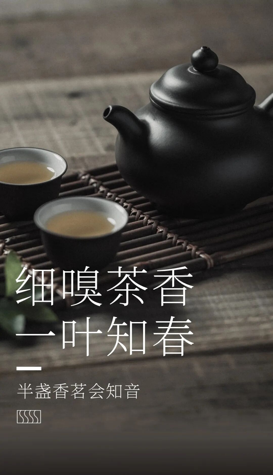 春天的第一口茶来西安这4个饮茶宝藏地