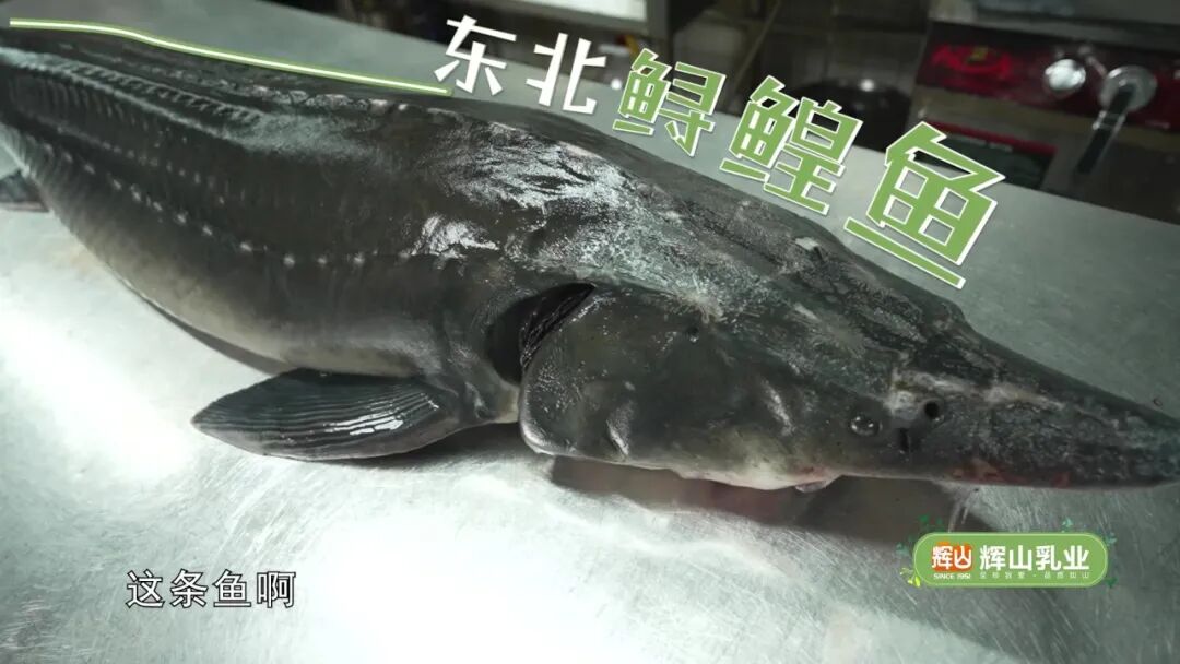 妥妥的乡味|在沈阳,宵夜能有多"炸裂"?