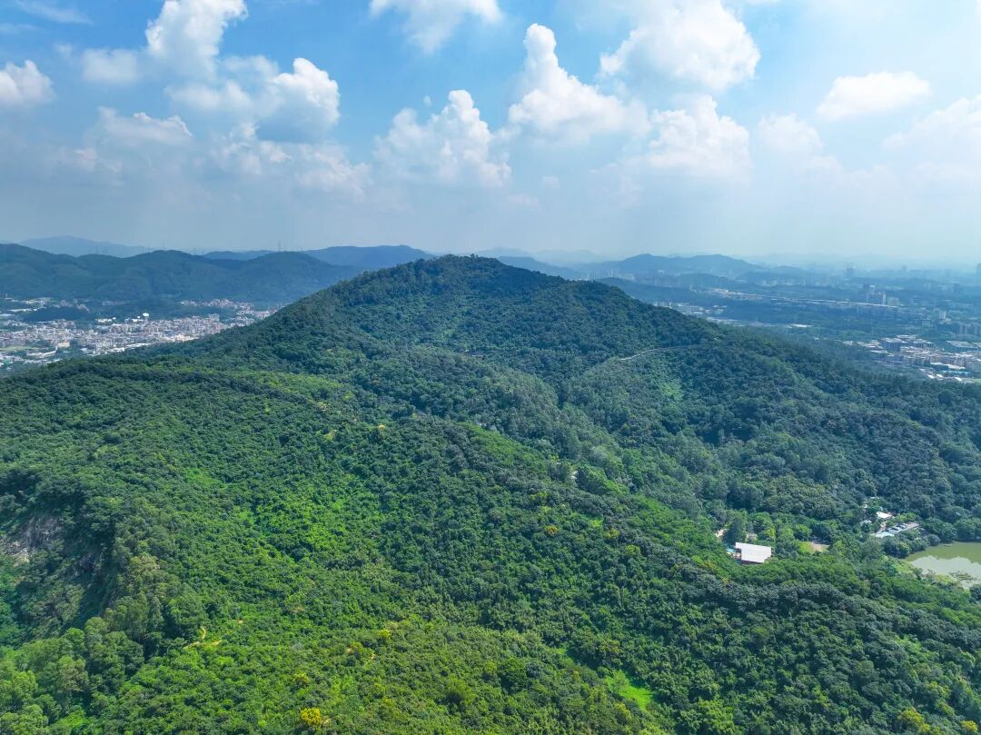 中建天河精诚壹号首开去化超9成！