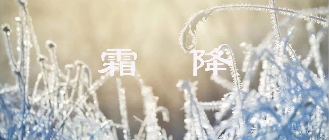 补冬不如补霜降，这三样不能多，不利养生很伤阳！