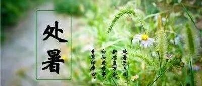 【节气养生】处暑时节学点中医养生