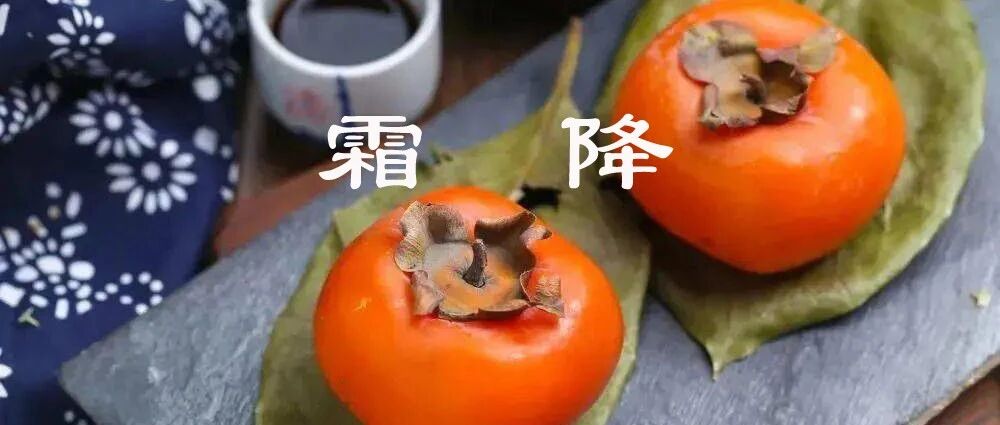 今日霜降 ▏秋已暮，露成霜