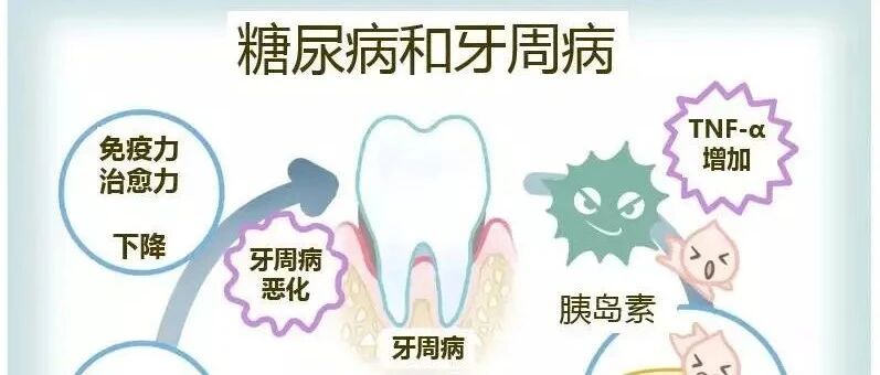 【专家解答】血糖升高了，为何牙齿“遭殃”？