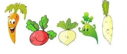 冬吃萝卜夏吃姜，吃对萝卜赛人参