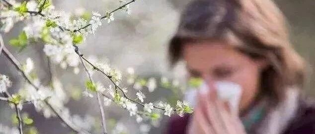 【季节防病】春季喷嚏不断，当心花粉过敏