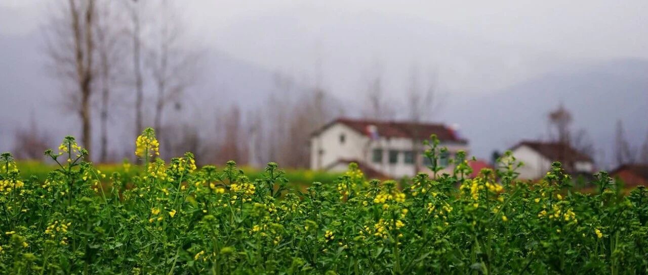 最是一年春好处 | 春三月的养生之道