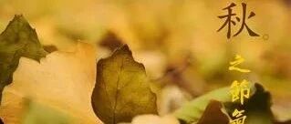 秋季养阴润燥，这四款家常食疗方吃起来