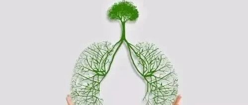 教你5个养肺妙招，应对“ 多事之秋”