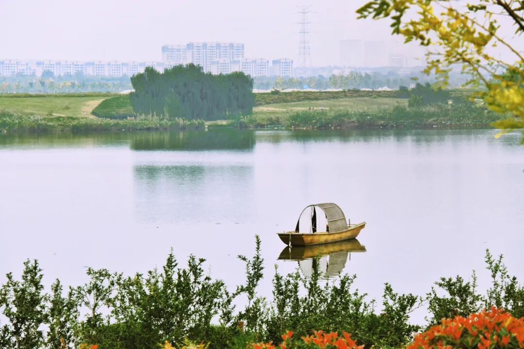收藏!西安人向往的「都市桃花源」就在城北,全年都很美!
