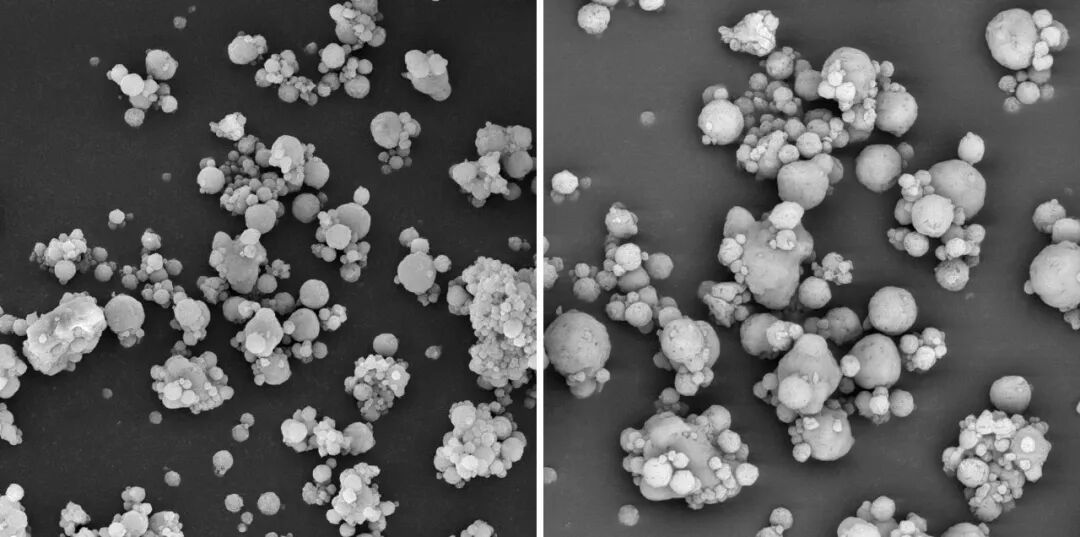 黑白之间的微观真相：扫描电镜与原位SEM如何揭示材料结构与演化