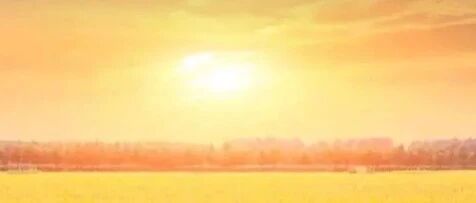 东方兰亭诗社│众诗友合集