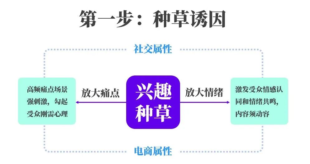 微信生态全域营销