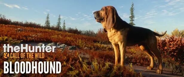 《猎人：荒野的召唤》DLC 推荐指南