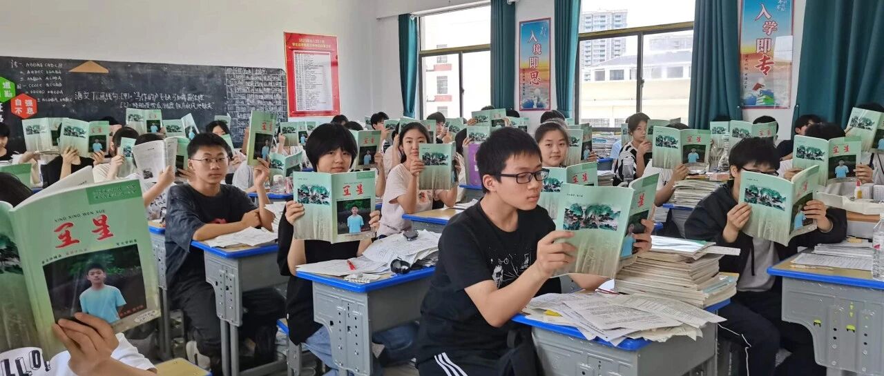 【张敏专栏】看见，成就教育的情调