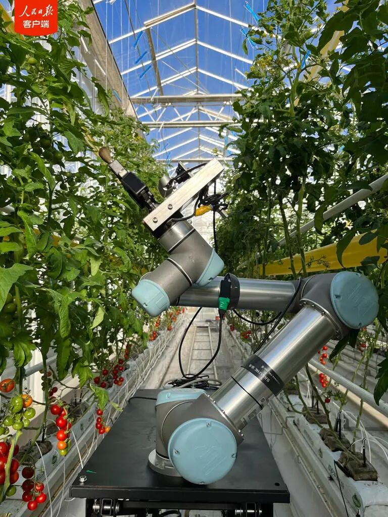 引领性突破！机器人育种家“吉儿”问世