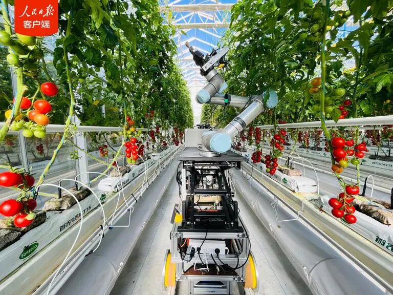 引领性突破！机器人育种家“吉儿”问世