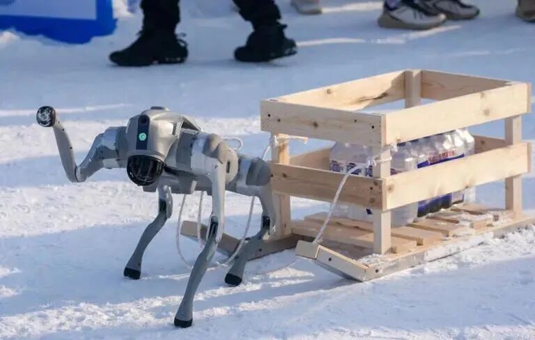 长春：机器人竞技冰雪中