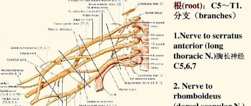 cover_image