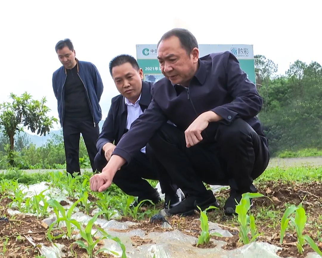 七星关区区长刘庆到何官屯镇和田坝桥镇调研