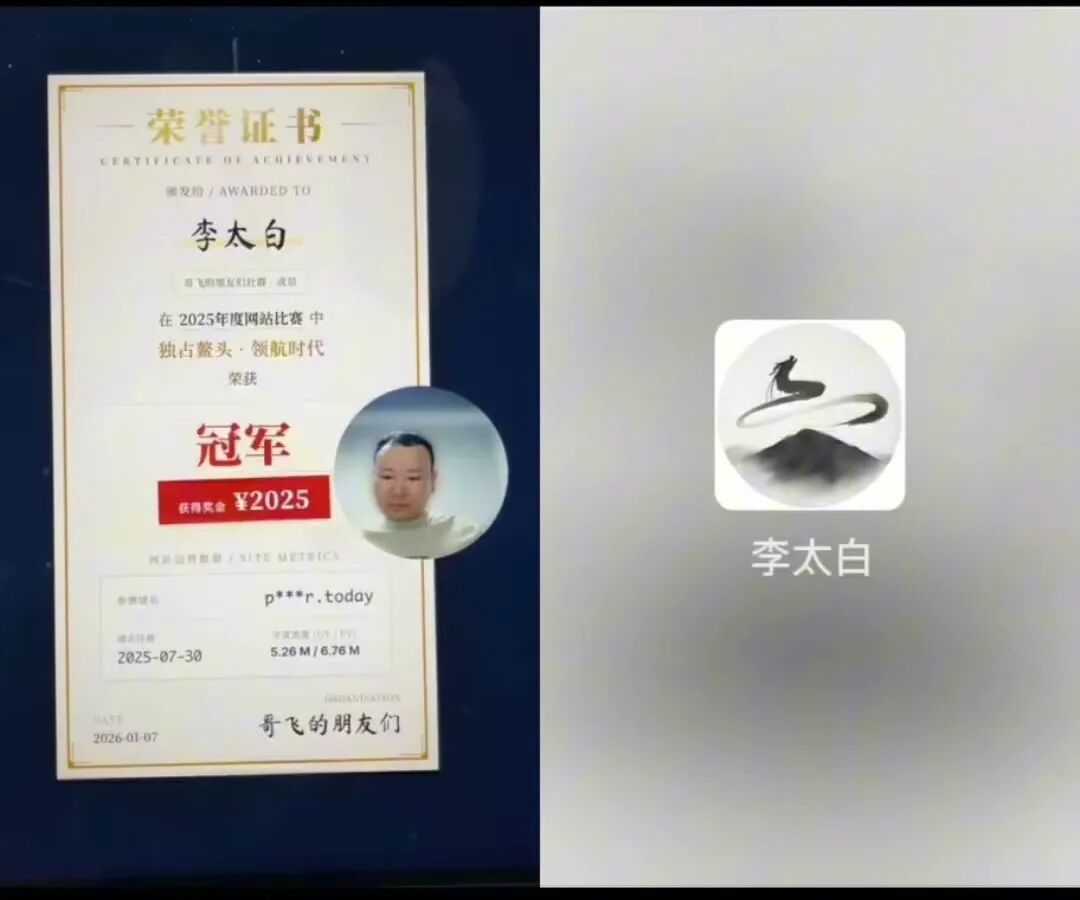哥飞社群2025年度网站复盘：30个独立站流量来源与收入真相