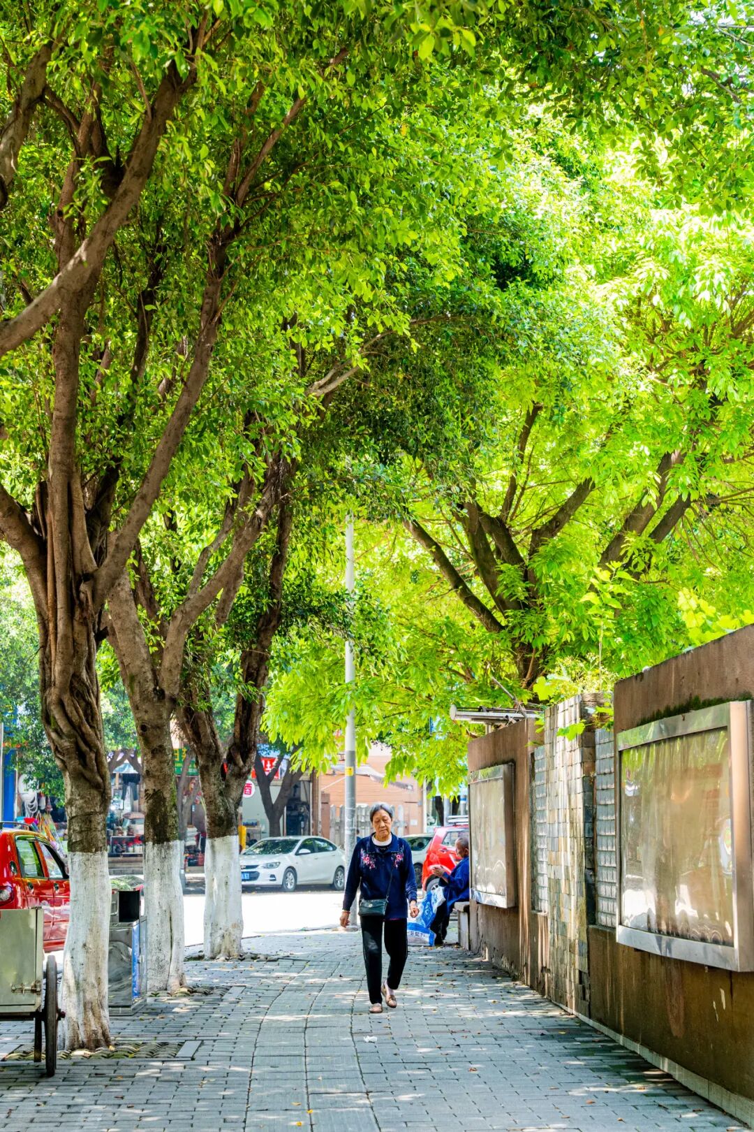 重庆:蓝谷小镇,把人间烟火装进一条街