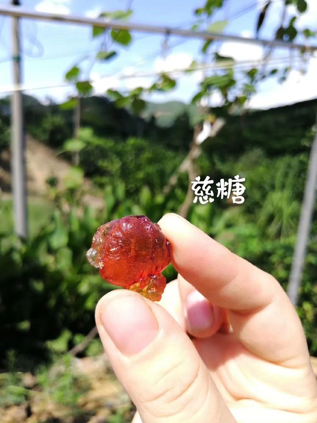 酸笋怎么做好吃
