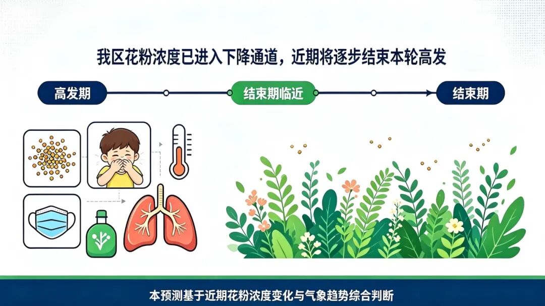 花粉季防护指南 (2).jpeg