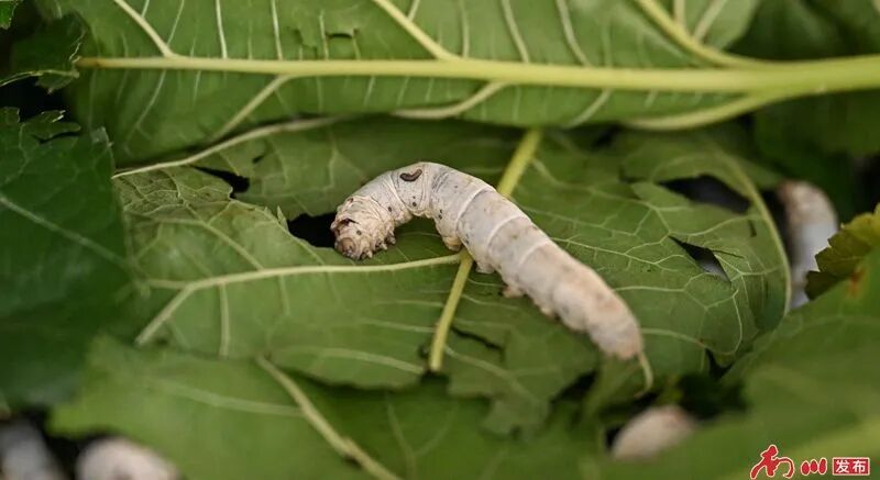 GetAttachment (1)_副本.jpg