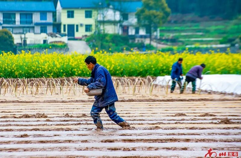 DSC_3483 拷贝_副本.jpg