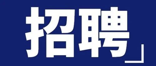 蒙娜丽莎集团26校招