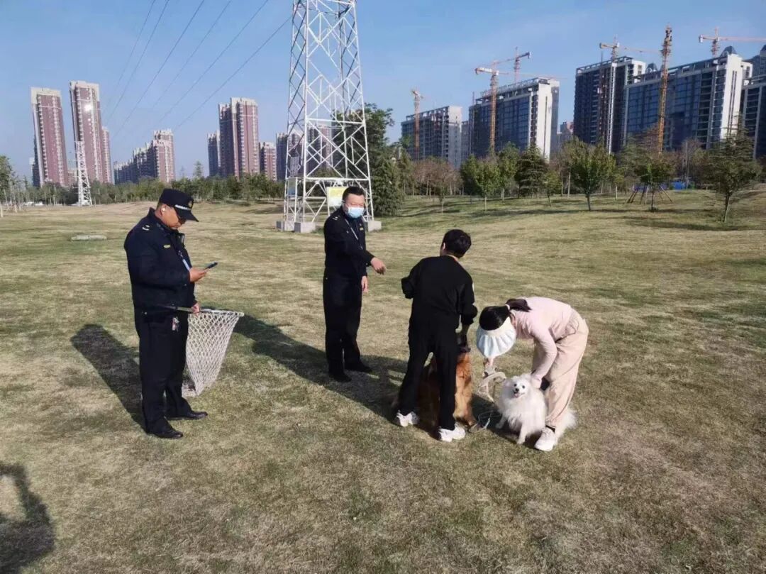 安阳城市管理局组织整治迎宾公园周边违规露天烧烤和不文明遛犬行为