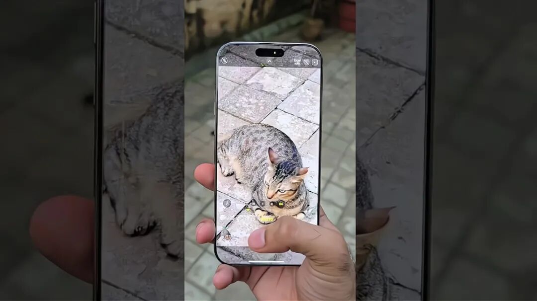 iPhone16ProMax用了1个月，新功能差评！