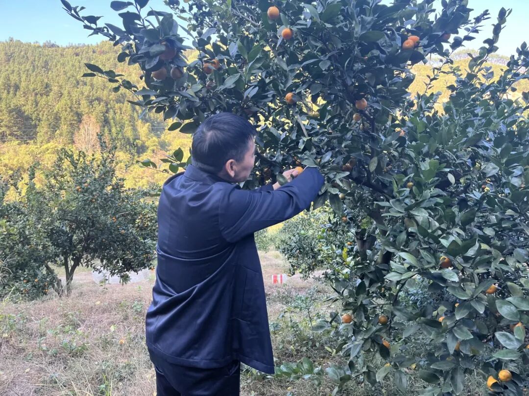 雄远党建｜党建引领促发展 乡村振兴新路径——我所党支部赴阳山县七拱镇合上村开展“百所兴百村”系列活动